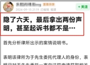 华体会app评价-判罚引争议，观众疑虑不安，裁决细节被关注的简单介绍