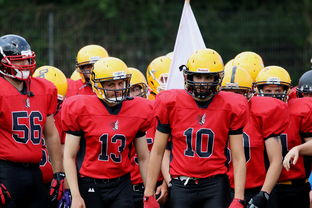 华体会官网客服-球员伤病防护不足，球员伤病对球员的影响